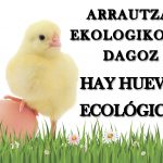 Cartel Huevos Ecológicos
